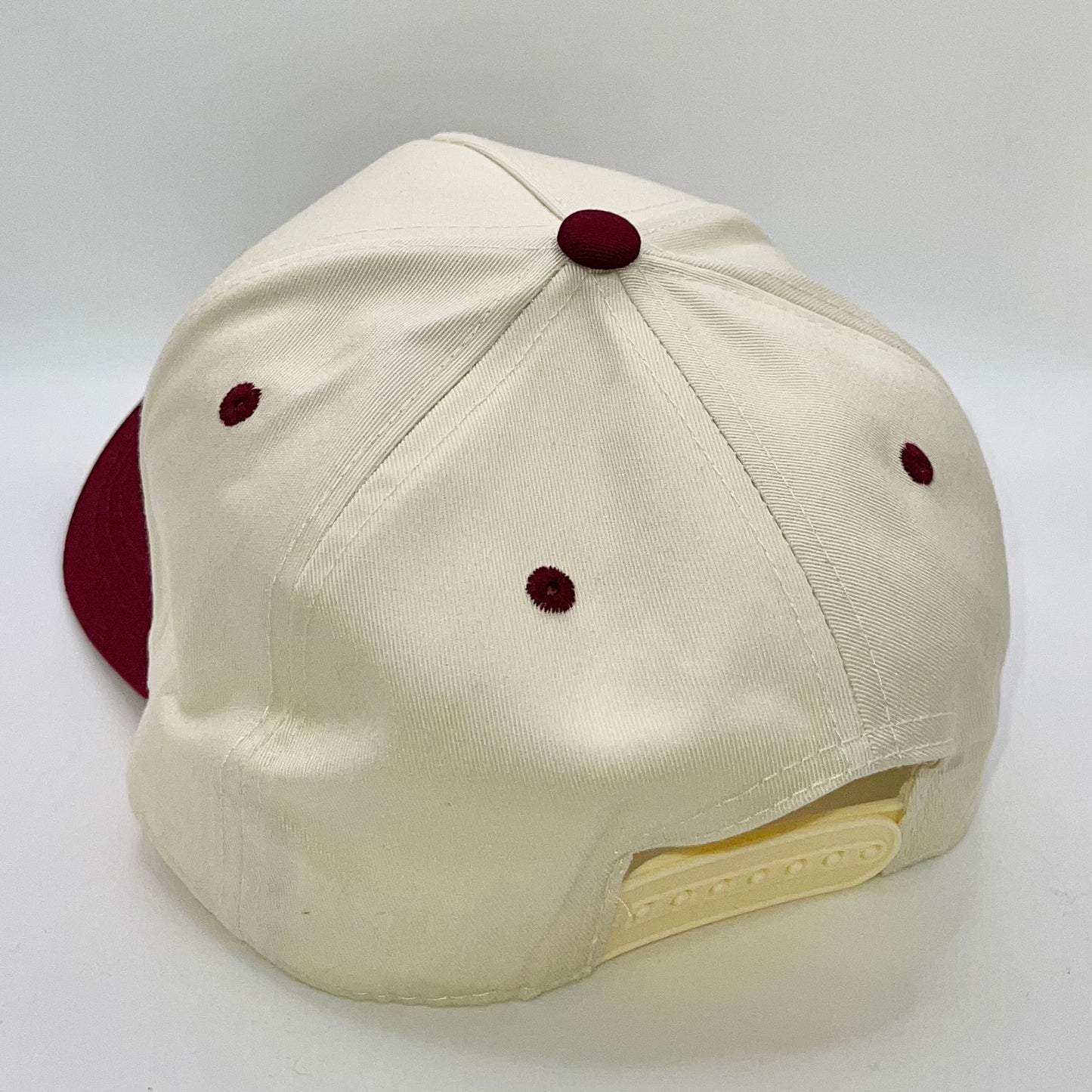Temecula Snapback