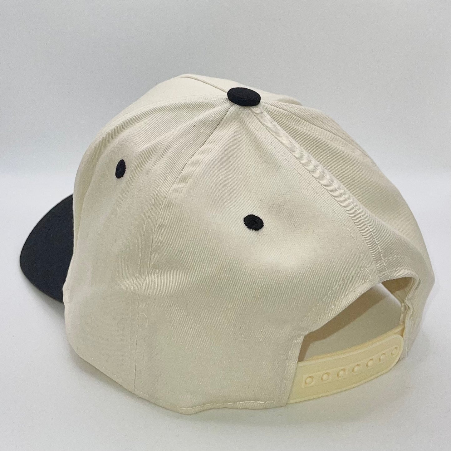 Malibu Snapback