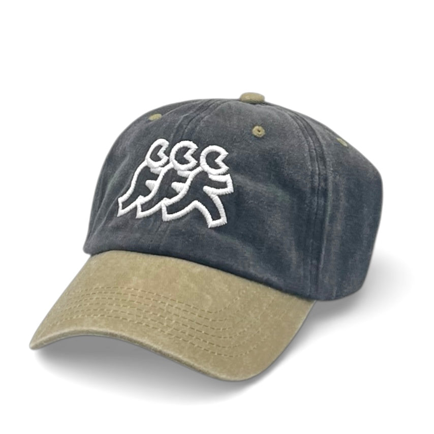 Mission Beach Dad Hat