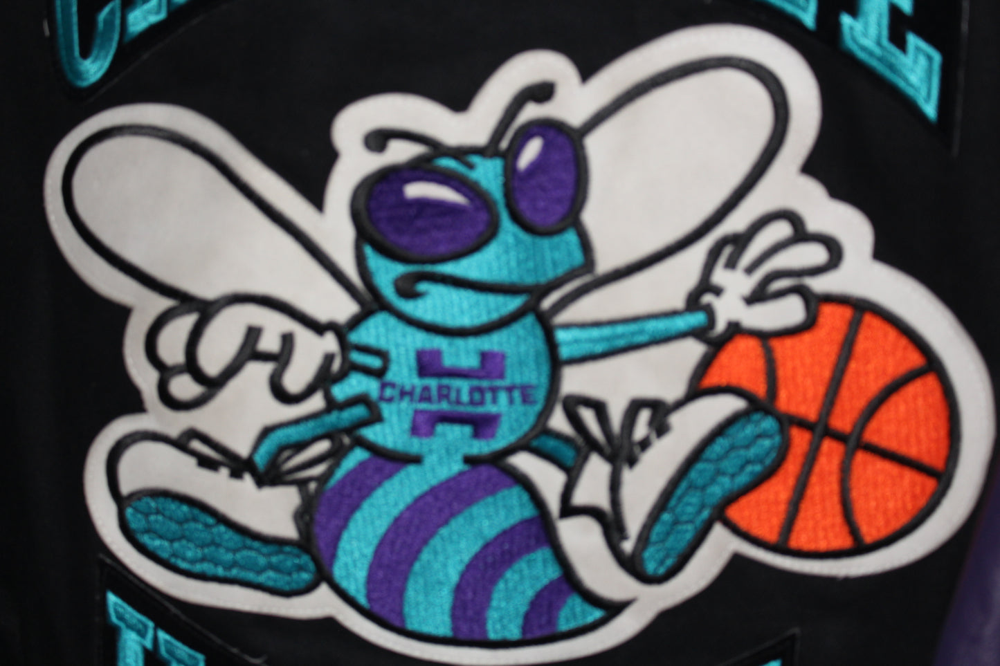 Rare Charlotte Hornets Leather Jeff Hamilton (L)