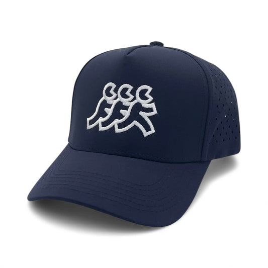 Coronado Athletic Mesh Snapback