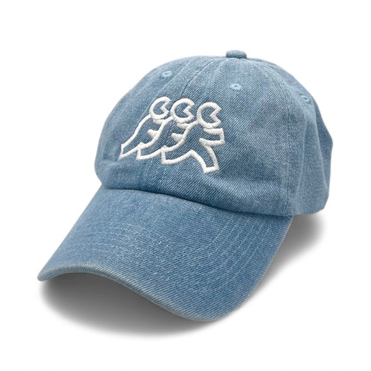 Denim Dad Hat