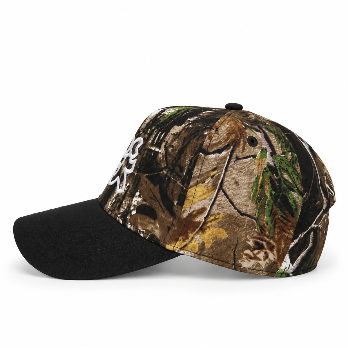 Hidden Hills Camo Black Brim Snapback