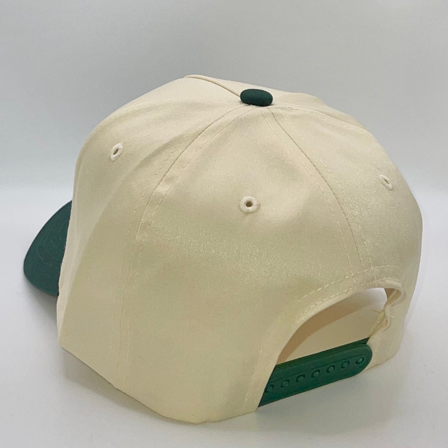 The Lucky Snapback