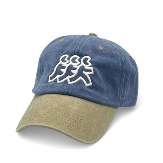 Oceanside Dad Hat