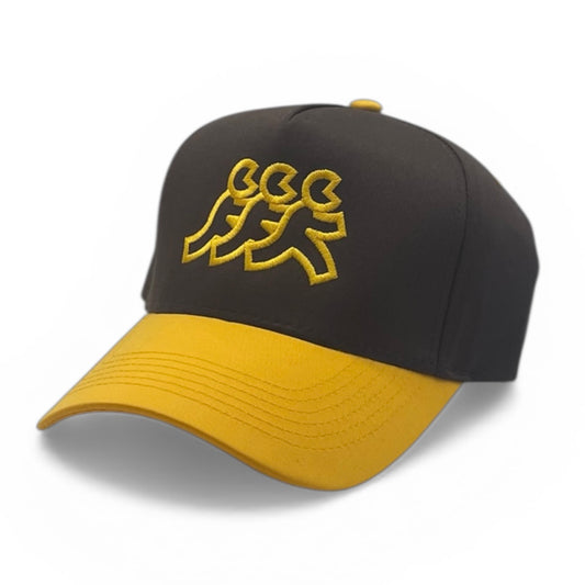 Vintage San Diego 2 Tone Snapback