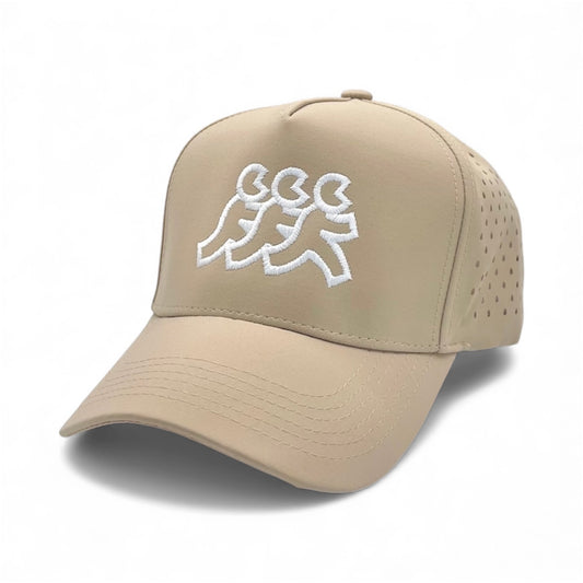 Del Mar Athletic Mesh Snapback