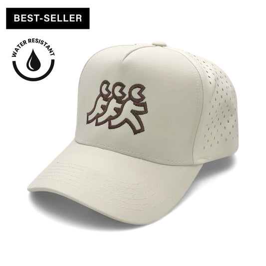 Palm Springs Athletic Mesh Snapback
