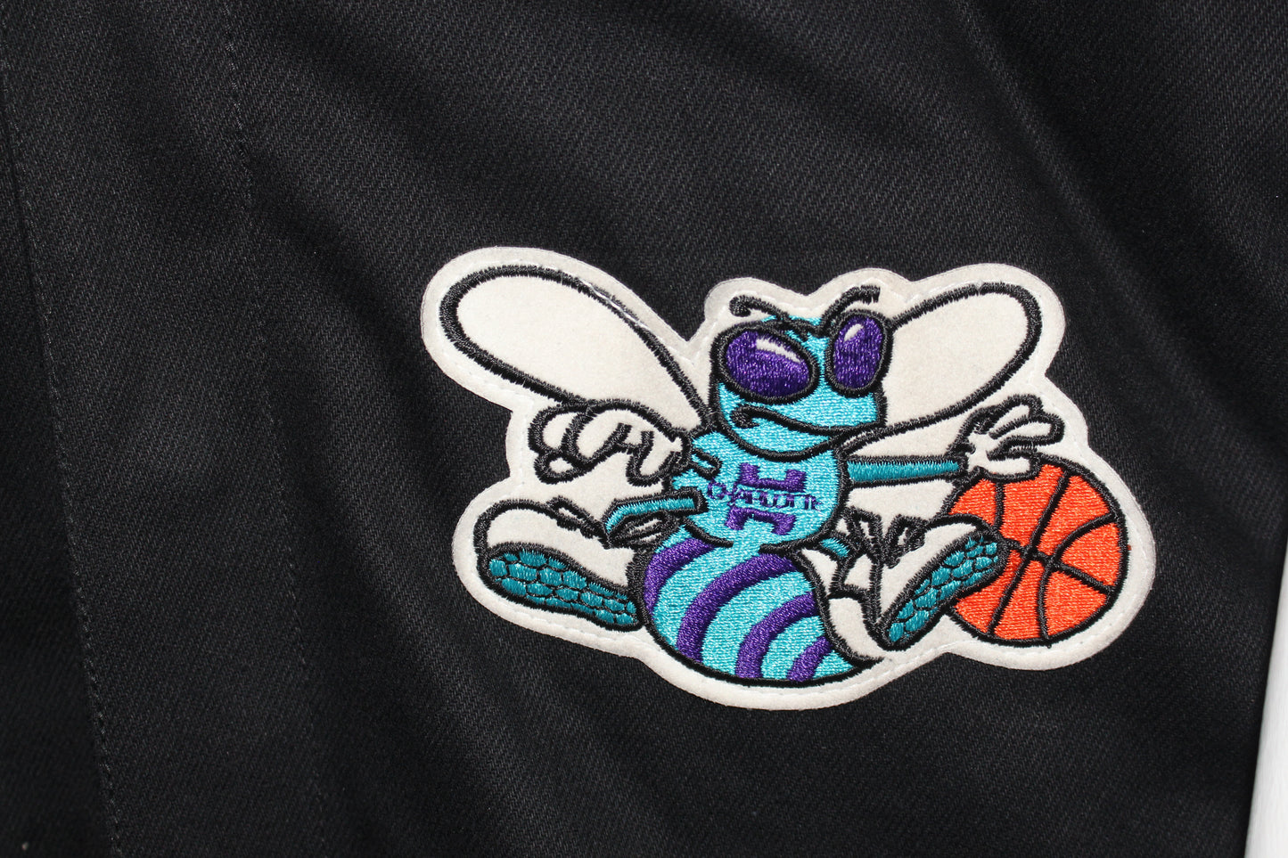 Rare Charlotte Hornets Leather Jeff Hamilton (L)