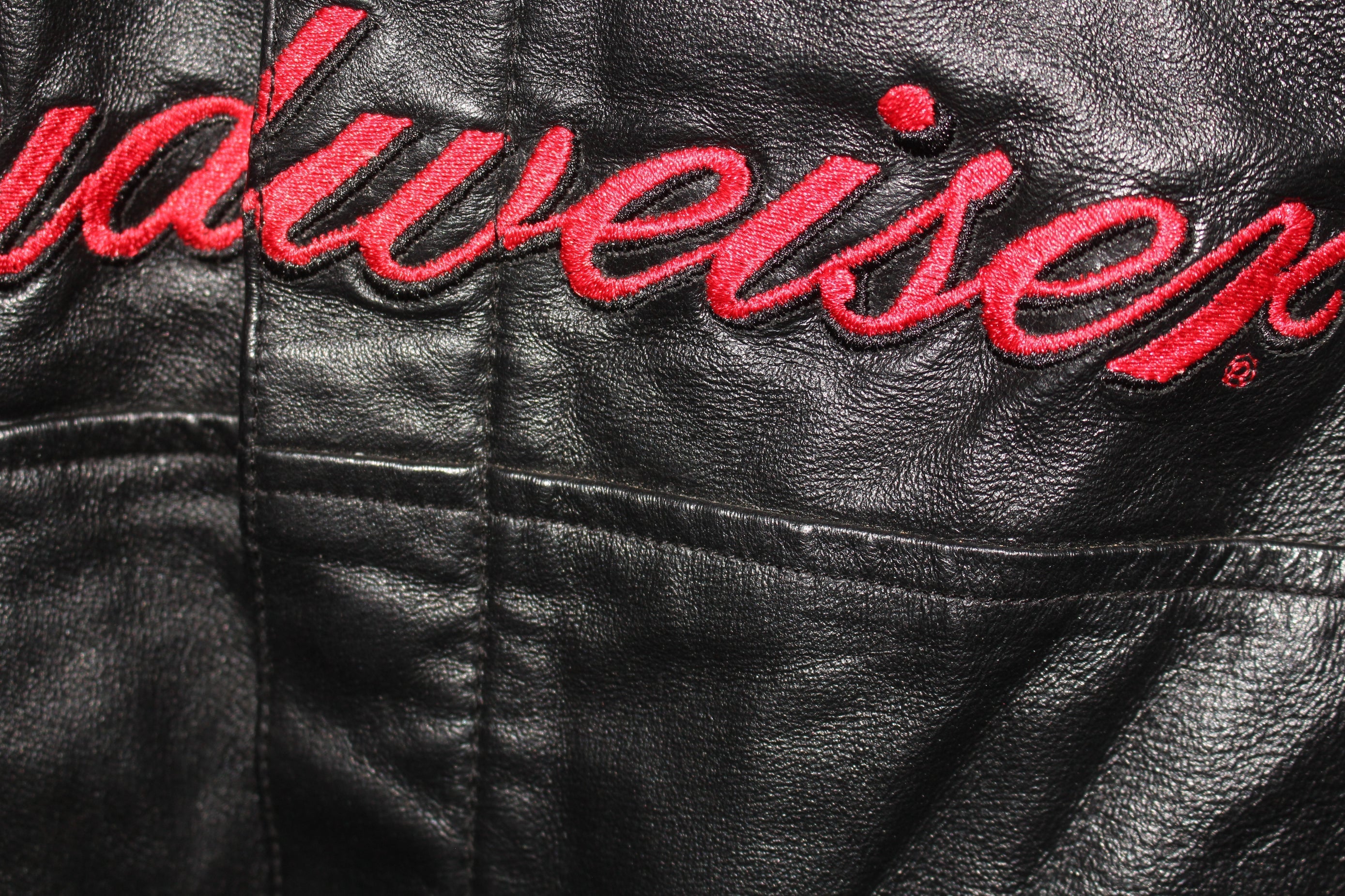 Dale earnhardt outlet leather jacket