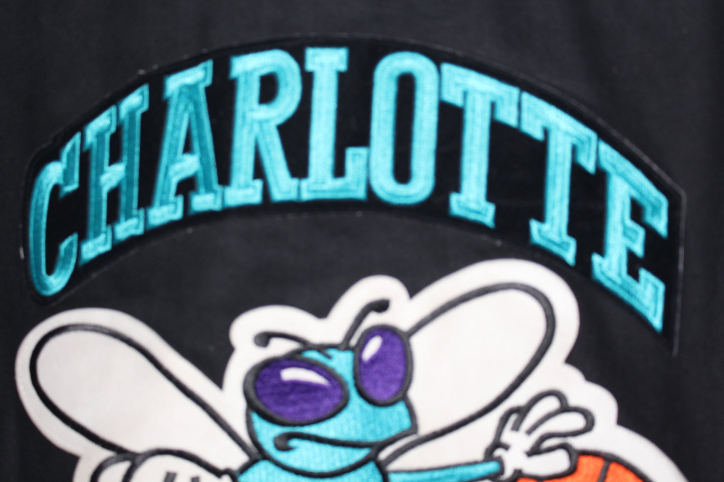 Rare Charlotte Hornets Leather Jeff Hamilton (L)